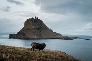 Wo Land und Meer sich treffen Wo Land und Meer sich treffen