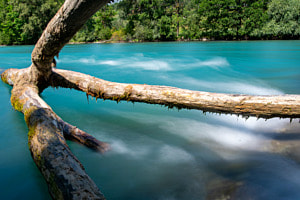 Malerische Aare