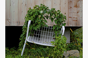 Chaise Puidoux VD