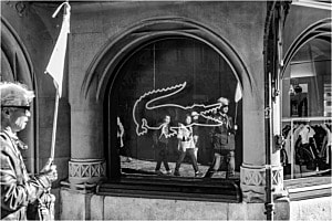 Der Reiseführer