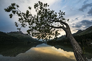 Silsersee