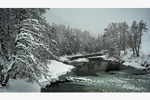 Winterliche Rotten im Obergoms