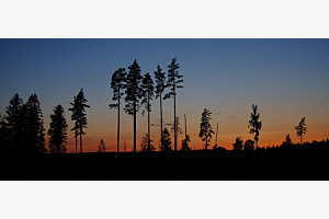 Abendstimmung