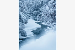 Frostige Landschaft