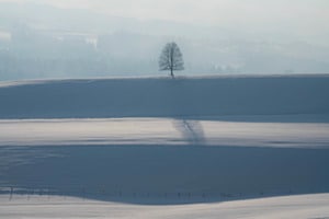 Einsamer Baum über Schneehang