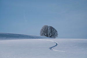 Winter in Affoltern i.E. 
