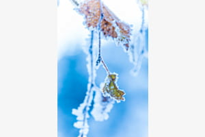 Herbst und Winter