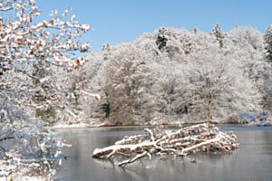 Sängeliweiher 