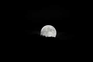 Moonrise