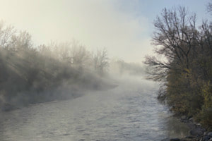 Nebel Aare
