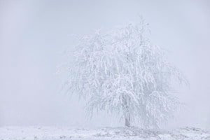 [white silence]