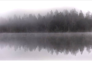Nebel zieht über den See