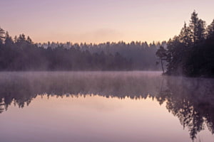 Morgenstimmung