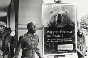 Bern mit Biss