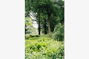 Staffordshire