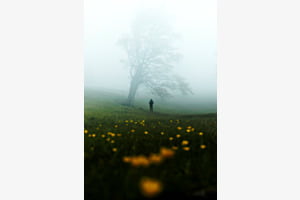 Feel the fog!