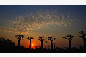 Madagaskar