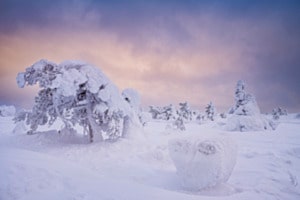 deep freeze