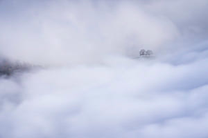 foggy day