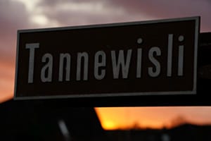 Tannewisli 