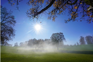 Novembernebel