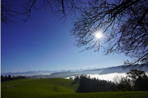 Nebelmeer Güsche