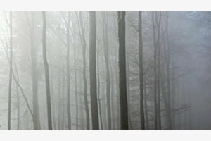 Mystische Landschaft