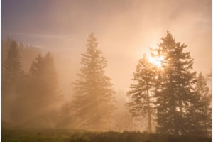 Zwischen Licht und Schatten