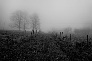 Herbst 