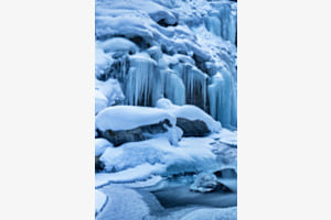 Frost
