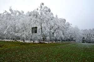 Gegensätze