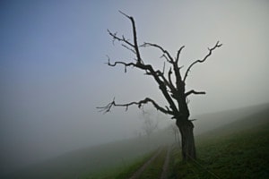 Mystisch