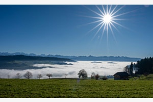 Gegegenlicht mit Sonnenstern