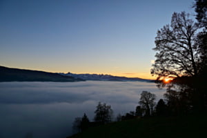 Nebel im Hügelland
