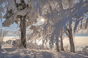 Frostiger Wintertag