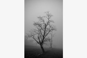 Nebel 