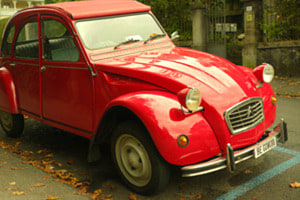 Red Horse 