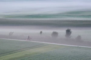 Ausritt im Nebel
