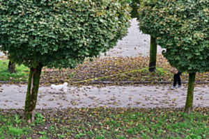 An der langen Leine