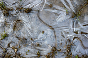 Wasserpfütze in Eis