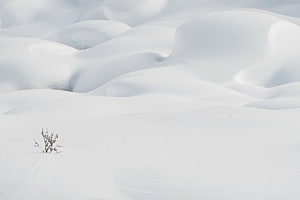 Stille