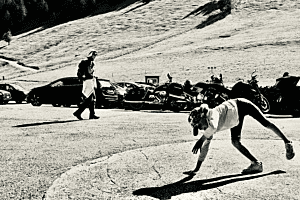 Mountain circus