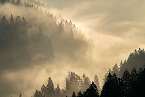 frühmorgens im Emmental