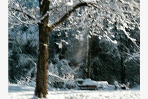 Winterwunderland 