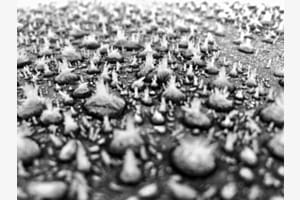 Frost auf Autodach