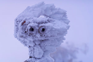 frostiger Typ