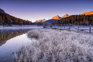 frozen morning
