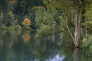 Gübsensee