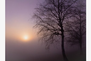 Sonnenuntergang