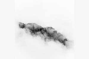 clouds and trees